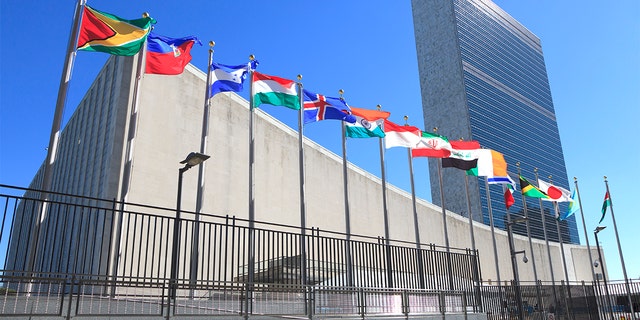 The United Nations will restore the right to vote to three nations after making sufficient payments to the international body.