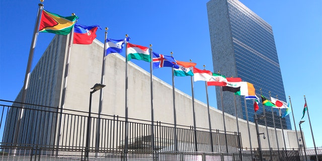 The United Nations Headquarters in New York City.