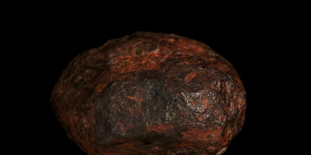 Picture of the Wedderburn meteorite. (Credit: Rodney Start, Museums Victoria)