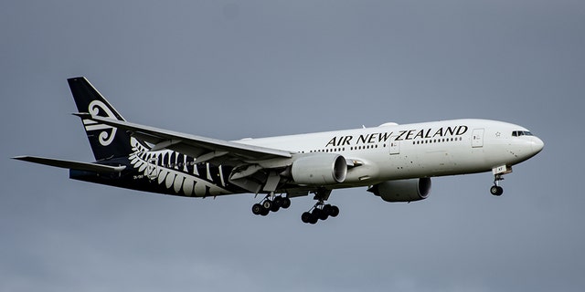 Flight NZ31 was less than 10 minutes away from landing at Auckland International Airport when an announcement came on in the cabin asking if there was a doctor onboard.