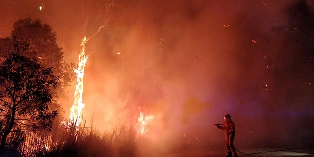 Firefighters battled a bushfire in Peregian Springs in the Sunshine Coast region of Queensland on Sunday.