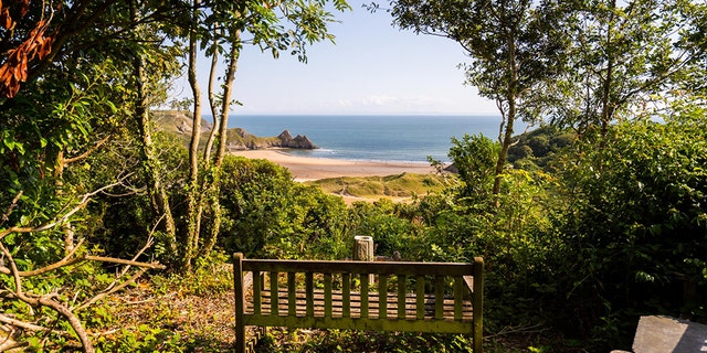 A wooden bench on a clifftop is up for sale for $614,500 - because it boasts breathtaking views of one of Britain's best beaches.