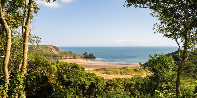 The old bench perched on a coastal edge is all that is left of a ramshackle wooden cabin put up more than 50 years ago.