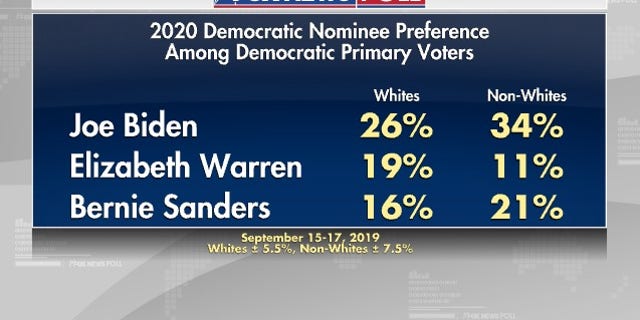 Fox News Poll: Biden at new low in Democratic primary race | Fox News