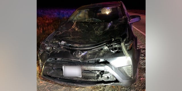 A vehicle was seriously damaged after a collision with a cow on State Route 375 on Friday night.