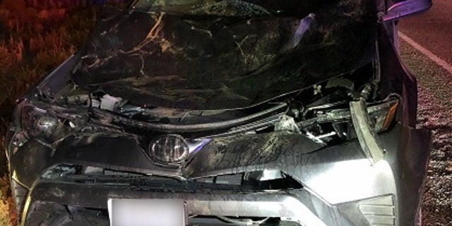 A vehicle sustained serious damage after colliding with a cow on State Route 375 late Friday.
