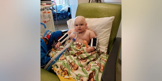 Banner Sears after chemo.