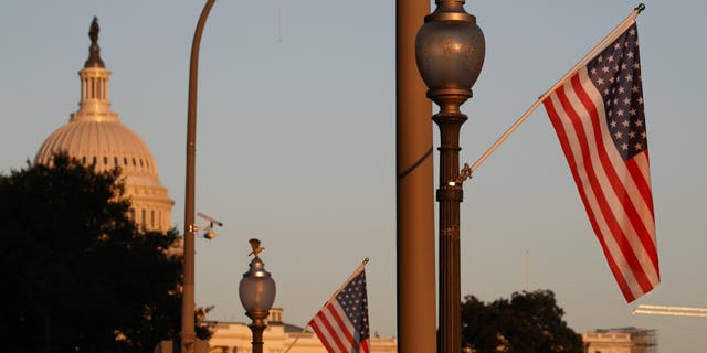 Flags fly at sunset with 51 instead of the usual 50 stars, along Pennsylvania Ave., part of a display in support of statehood for the District of Columbia, Sunday, Sept. 15, 2019, in Washington. (AP Photo/Jacquelyn Martin)
