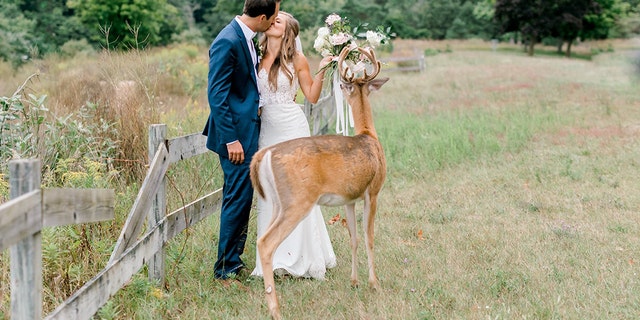 Westlake Legal Group deer-wedding-2-Laurenda-Marie-Photography Deer photo-bombs wedding pictures, eats bride's bouquet Michael Hollan fox-news/lifestyle/weddings fox-news/great-outdoors fox news fnc/lifestyle fnc article 112b45db-3fba-59f9-a57a-225d46472058