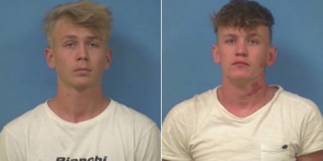 Govert Sweep, 21, and Ties Granzier, 20, were sentenced to one year in jail with all but 10 days suspended after they pleaded guilty to trespassing and illegal parking but the pair will only have to serve three days as part of a plea deal that further suspend seven days of their sentence.