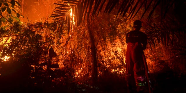 TOPSHOT - This picture taken on September 19, 2019 shows firefighters battling a forest fire near Pekanbaru, Riau. Indonesia is battling forest fires causing toxic haze across southeast Asia with aircraft, artificial rain and even prayer, President Joko Widodo said during a visit to a hard-hit area. (Photo by Wahyudi / AFP) (Photo credit should read WAHYUDI/AFP/Getty Images)