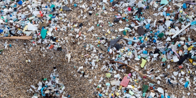 Researchers believe more than 4 billion bits of microplastic are in Tampa Bay, Florida. Above: A detail of microplastics along Italy's Schiavonea beach, transported by the Ionian sea during the last sea storm.