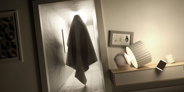 Stanley (not pictured) was reported to haunt an Airbnb rental. But much to the guests' disappointment, he was not the "friendly" ghost that was advertised in the listing.