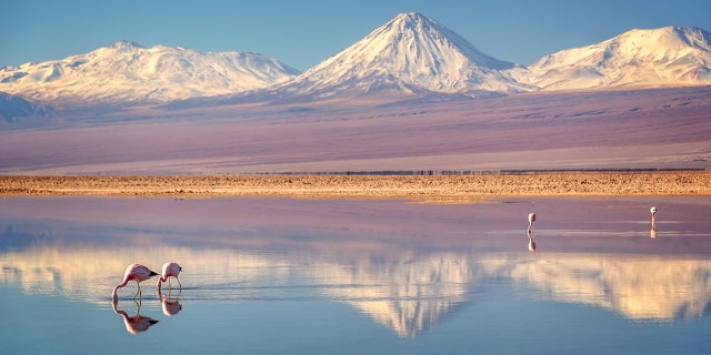 The arid nature of the Atacama Desert in Chile has made it a prime spot for UFO hunters.