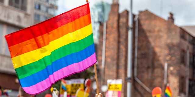 Pride parade flags with beautiful rainbow colors