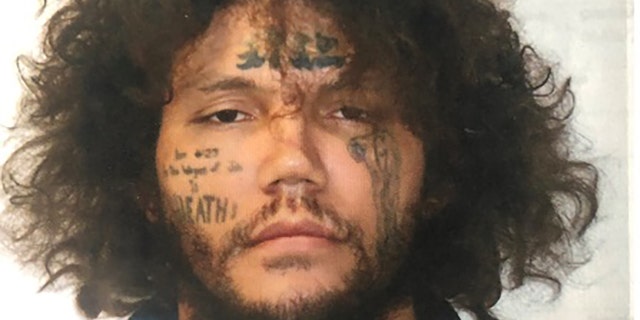 The search for Ireland began nearly three hours after his escape, police said.