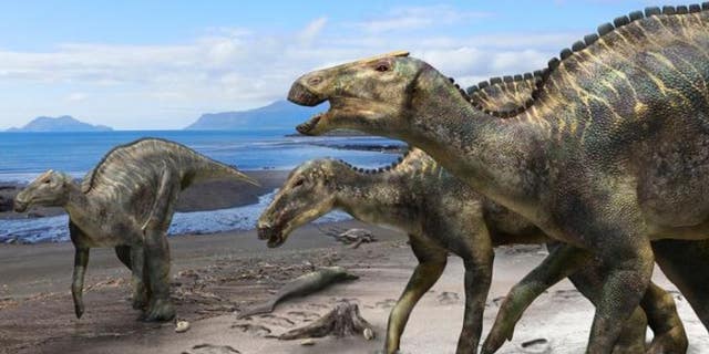 This is a reconstruction of Kauysaurus japonicus. (Kobayashi Y., et al, Scientific Reports, September 5, 2019)