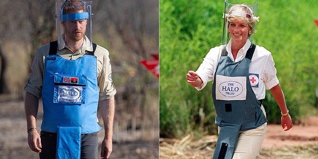 Prince Harry shadowed his late mother Princess Diana of Wales' footsteps during his royal tour of southern African.