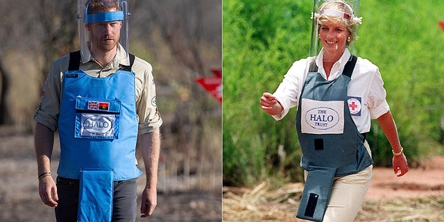 Prince Harry shadowed his late mother Princess Diana of Wales' footsteps during his royal tour of southern African.