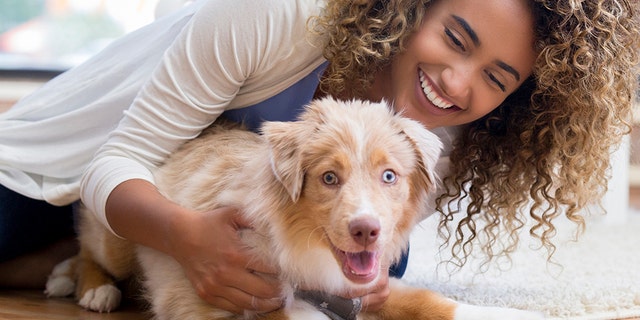 Practicing handling and gentling exercises will prepare your puppy for encounters with the vet and the groomer. (iStock)