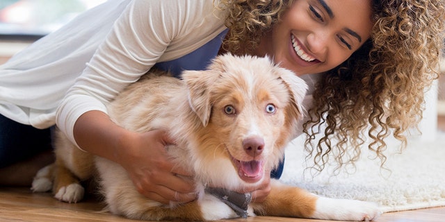 Practicing handling and gentling exercises will prepare your puppy for encounters with the vet and the groomer. (iStock)