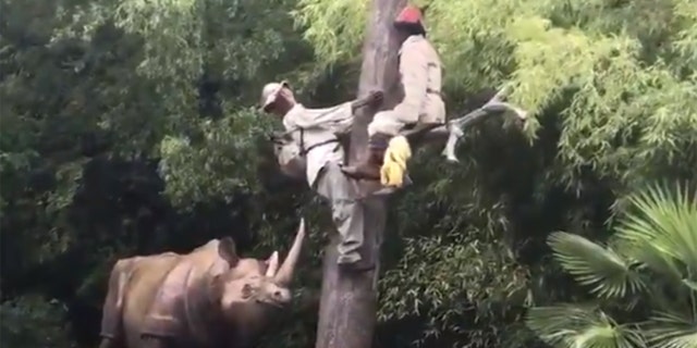One of the most popular theme parks in France has been forced to modify a popular ride, pictured, after guests accused the attraction of being racist.