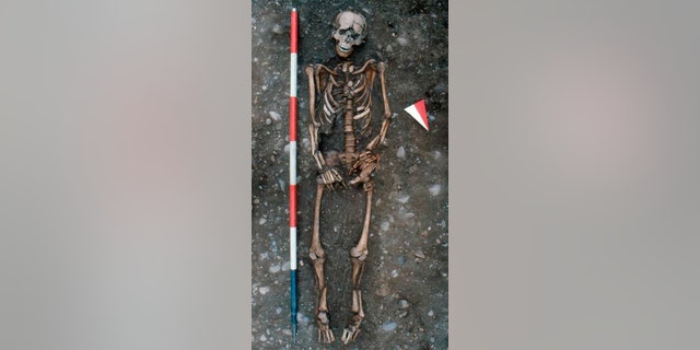 (Credit: Journal of Archaeological Science / Università degli Studi di Milano. With compliments of Elsevier)