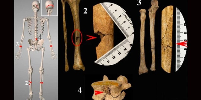 (Credit: Journal of Archaeological Science / Università degli Studi di Milano. With compliments of Elsevier)