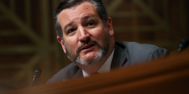 Sen. Ted Cruz, R-Texas. has said he will oppose President Trump's nominee for the 5th U.S. Circuit Court of Appeals, U.S. District Court Judge Halil Suleyman Ozerden. (Photo by Win McNamee/Getty Images)