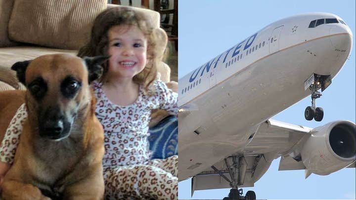 Emotional support animals posing problems for airlines