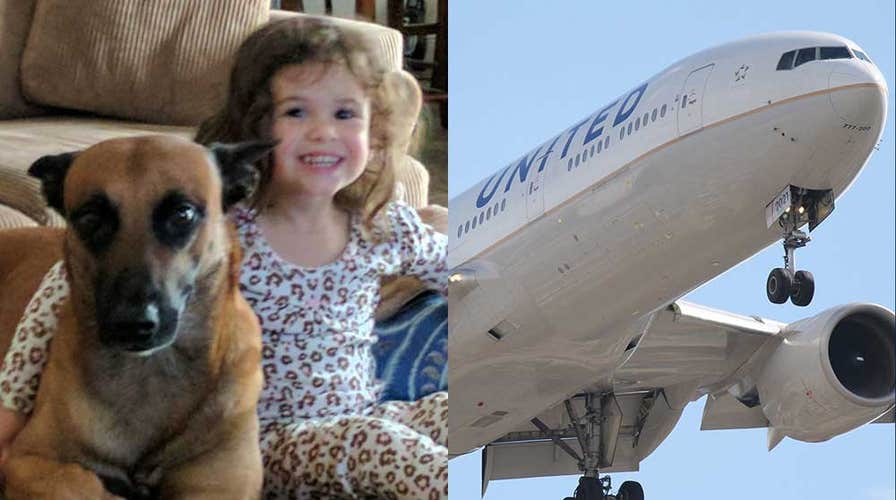 United airlines best sale support animals