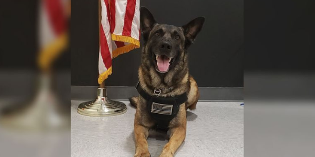 Ohio K-9 found missing 3-year-old in 10 minutes, police say