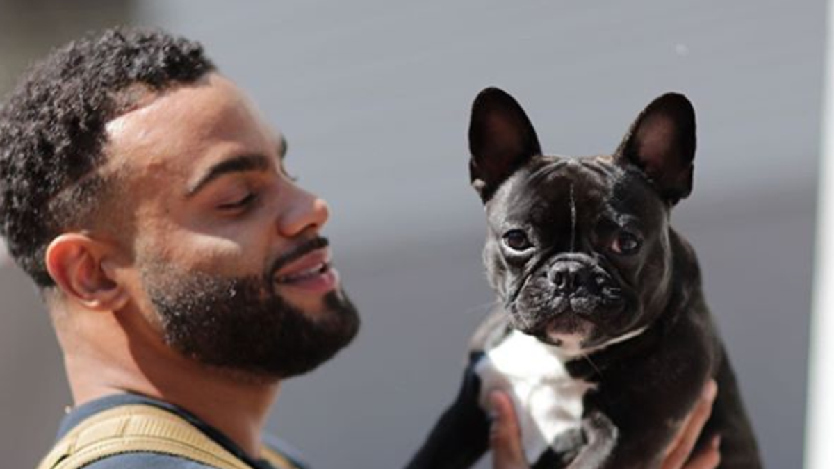 Zoey • • • • • #frenchbulldog #49ers #football #sundayfunday