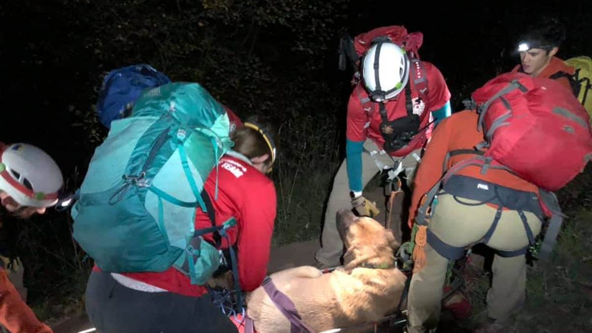 Rescuers in Salt Lake City said Floyd "was not able to move" after he hiked two miles up Grandeur Peak Hiking Trail in Millcreek Canyon. 