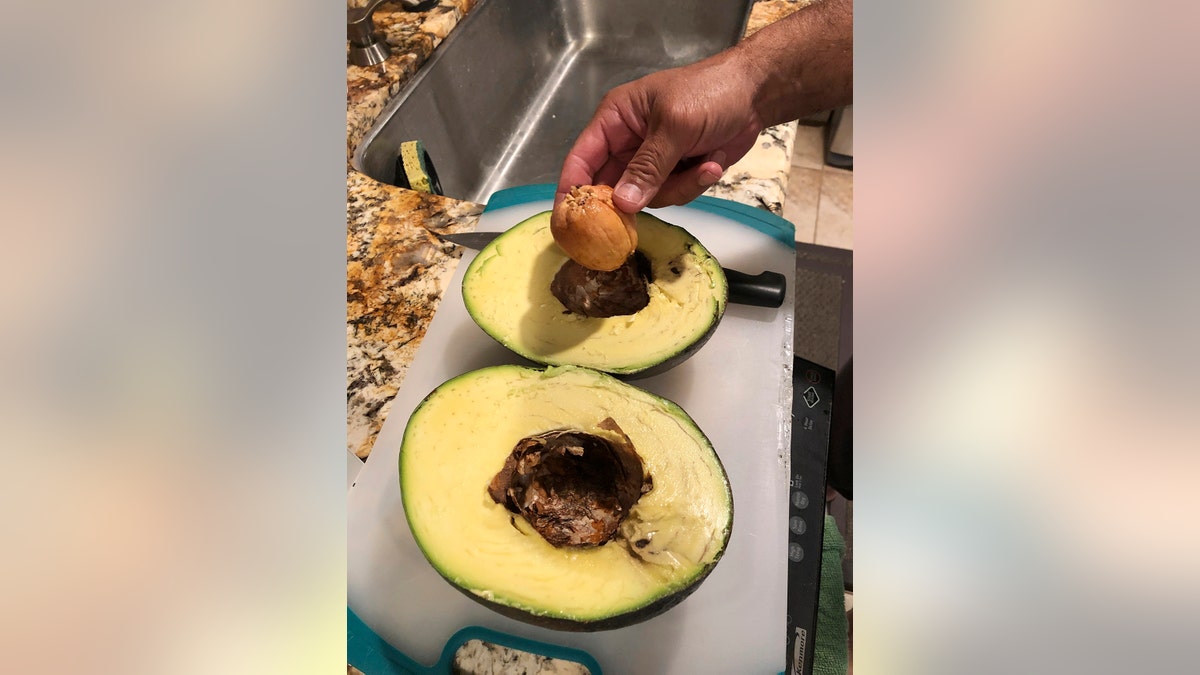 The family in 2018 entered another avocado, but it did not meet all the elements of the Guinness verification process requiring input from a certified horticulturalist, two forms completed by witnesses, a state-certified scale, photographs, video and other documentation.