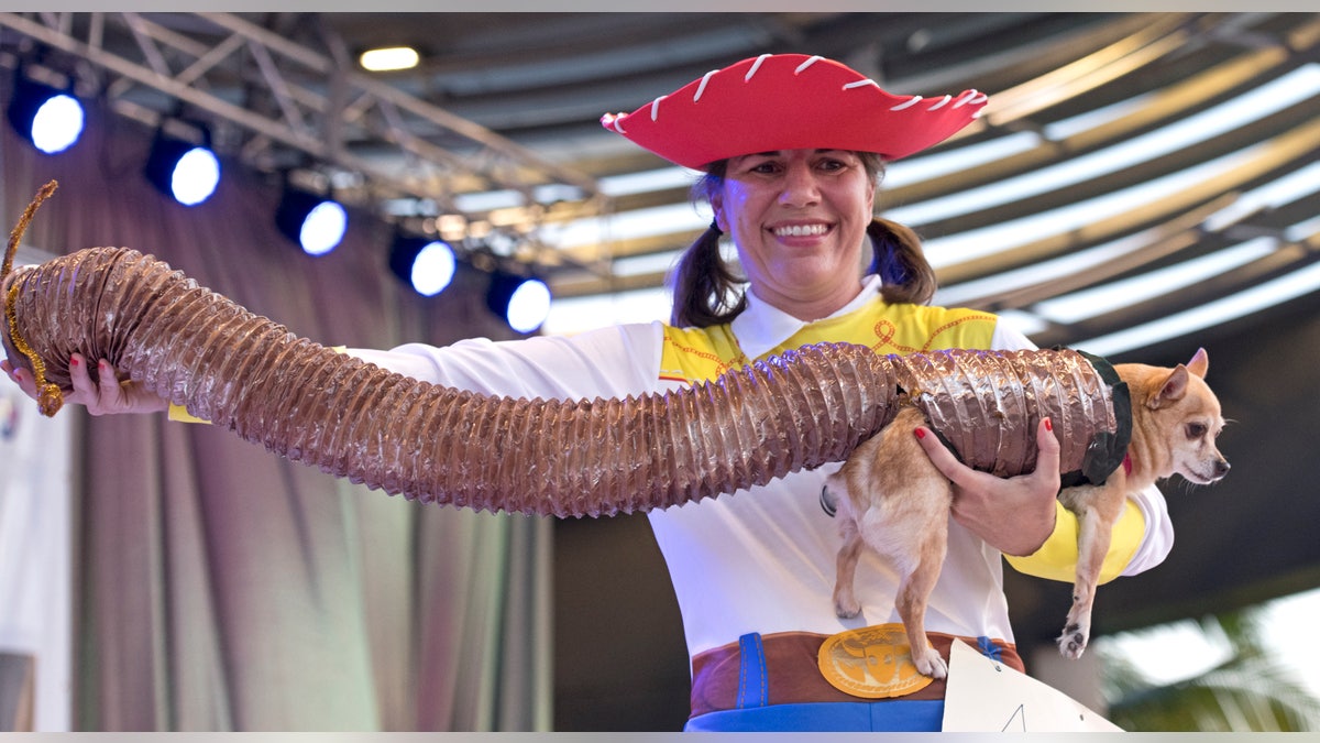 Elizabeth Epperly shows off her chihuahua Bibi, costumed as Slinky Dog from the animated film "Toy Story." The pet costume contest event was one of many activities during Key West's 10-day costuming and masking festival. (Rob O'Neal/Florida Keys News Bureau via AP)