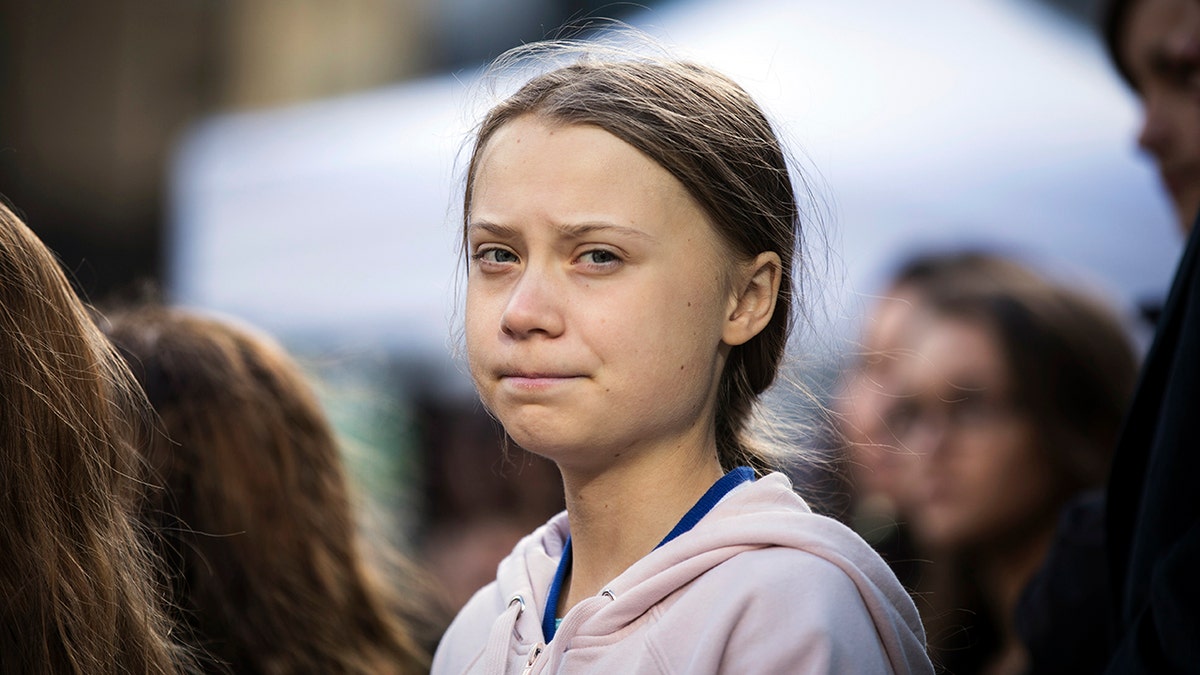 Thunberg at climate rally