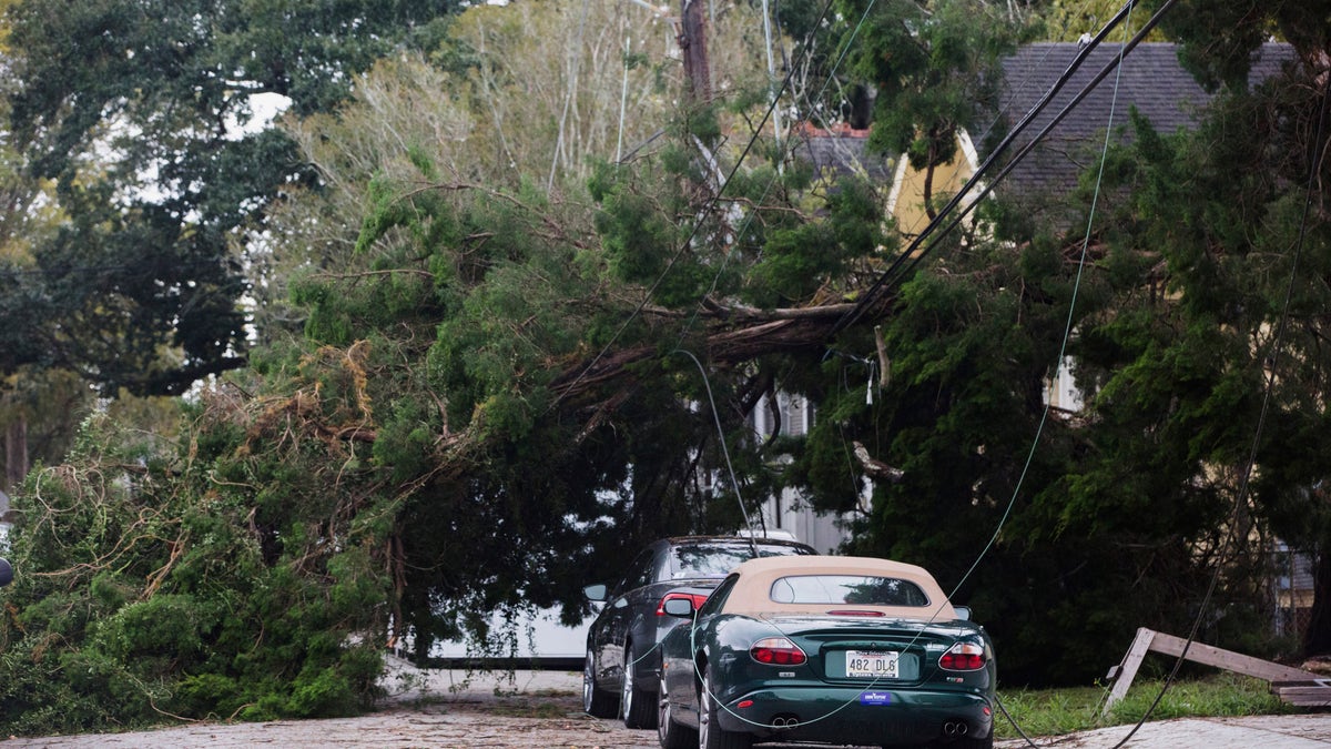 A tree lies on Camp Street by Henry Clay Avenue after Tropical Storm Olga went through the area in New Orleans on Saturday. (Sophia Germer/The Advocate via AP)