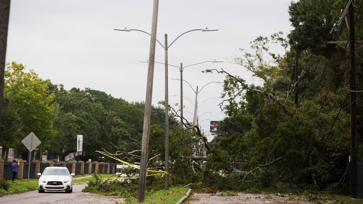 A tree falls on Metairie Road and takes out power lines in New Orleans on Saturday after Tropical Storm Olga went through the area. (Sophia Germer/The Advocate via AP)