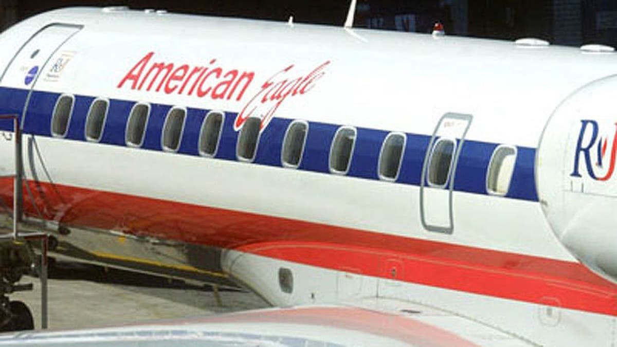 An American Eagle aircraft. File photo.