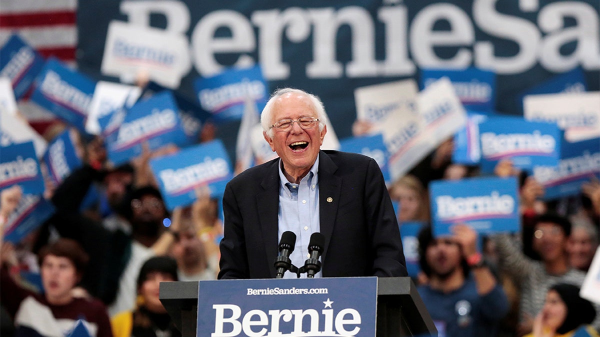 Democratic 2020 U.S. presidential candidate Senator Bernie Sanders holds a campaign rally in Detroit, Michigan. (REUTERS/Rebecca Cook) 