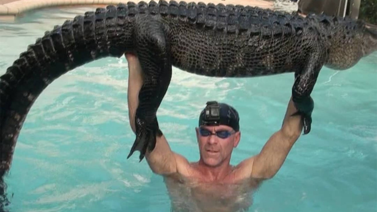 Paul Bedard of Gator Boys Alligator Rescue in Florida chronicled Tuesday’s rescue of a 9-foot alligator from a pool in a series of photos on his Instagram page.
