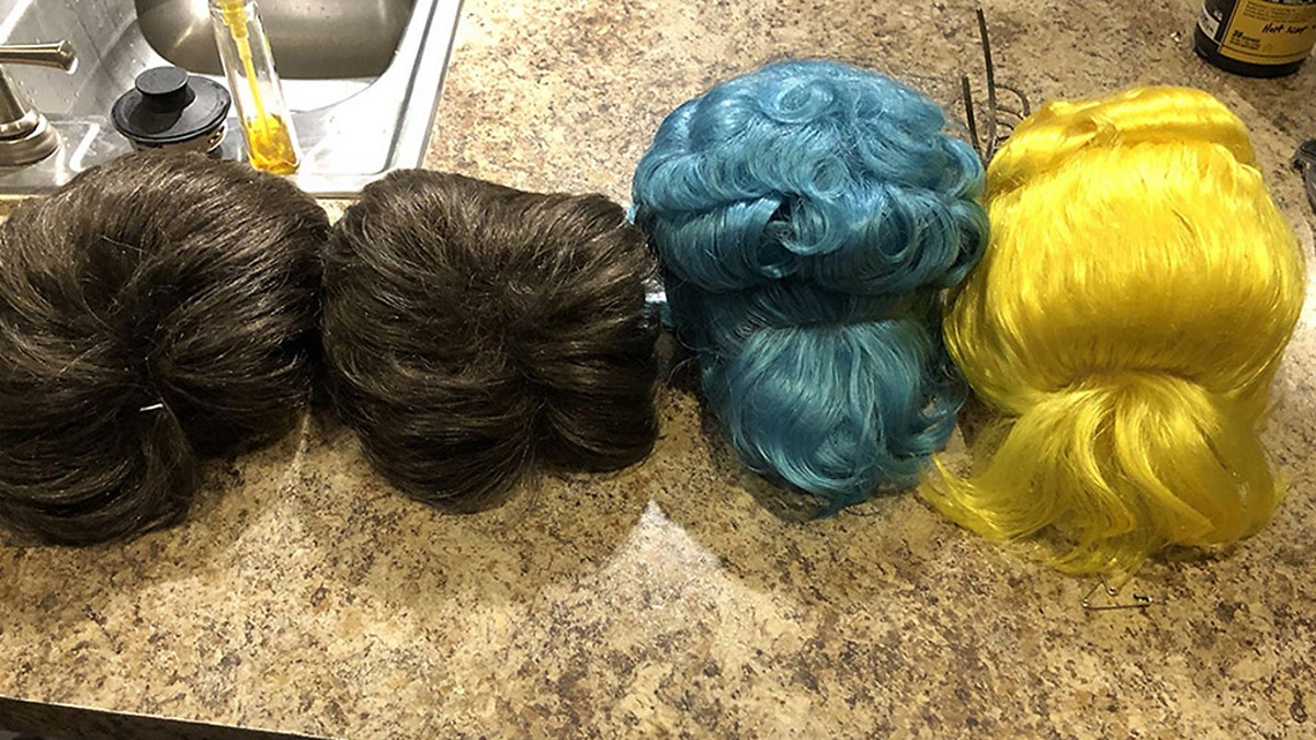 An image of the wigs reportedly stolen from Disney World. (Fifth Circuit State Attorneys Office)