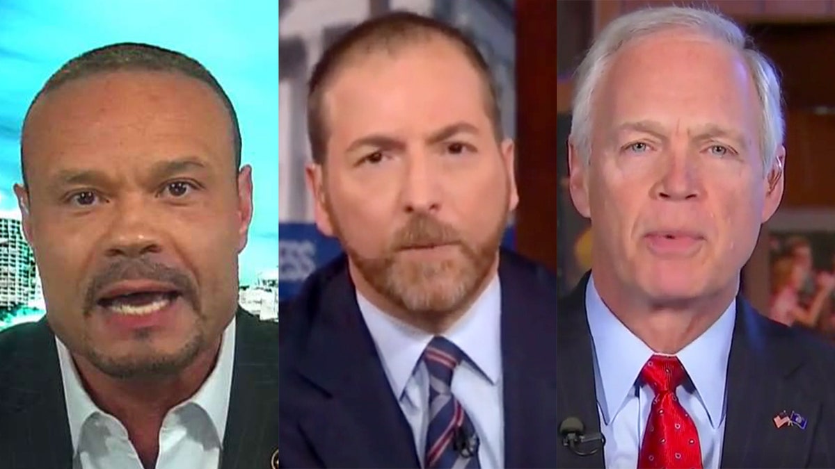 Bongino: Chuck Todd should resign and apologize for contentious interview with Sen. Ron Johnson | Fox News