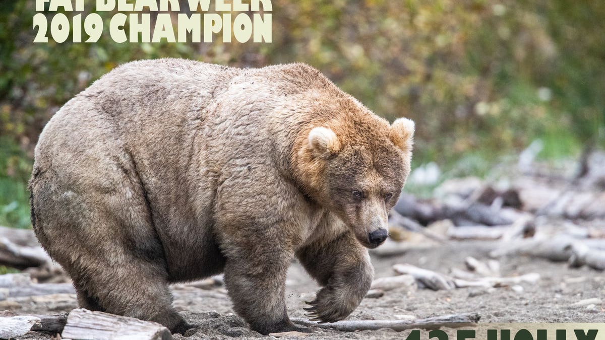 The "Queen of Corpulence" took the crown in 2019 in an overwhelming victory.