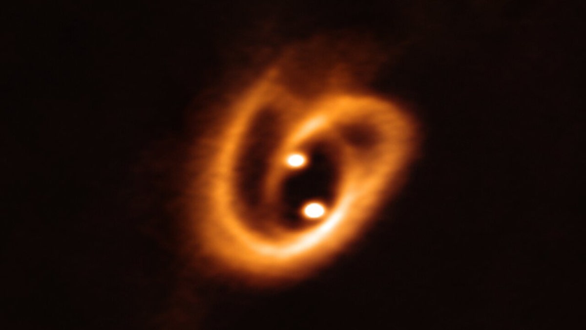 The Atacama Large Millimeter/submillimeter Array (ALMA) captured this unprecedented image of two circumstellar disks, in which baby stars are growing, feeding with material from their surrounding birth disk. The complex network of dust structures distributed in spiral shapes remind of the loops of a pretzel. These observations shed new light on the earliest phases of the lives of stars and help astronomers determine the conditions in which binary stars are born. (Credit: ALMA/ESO/NAOJ/NRAO)