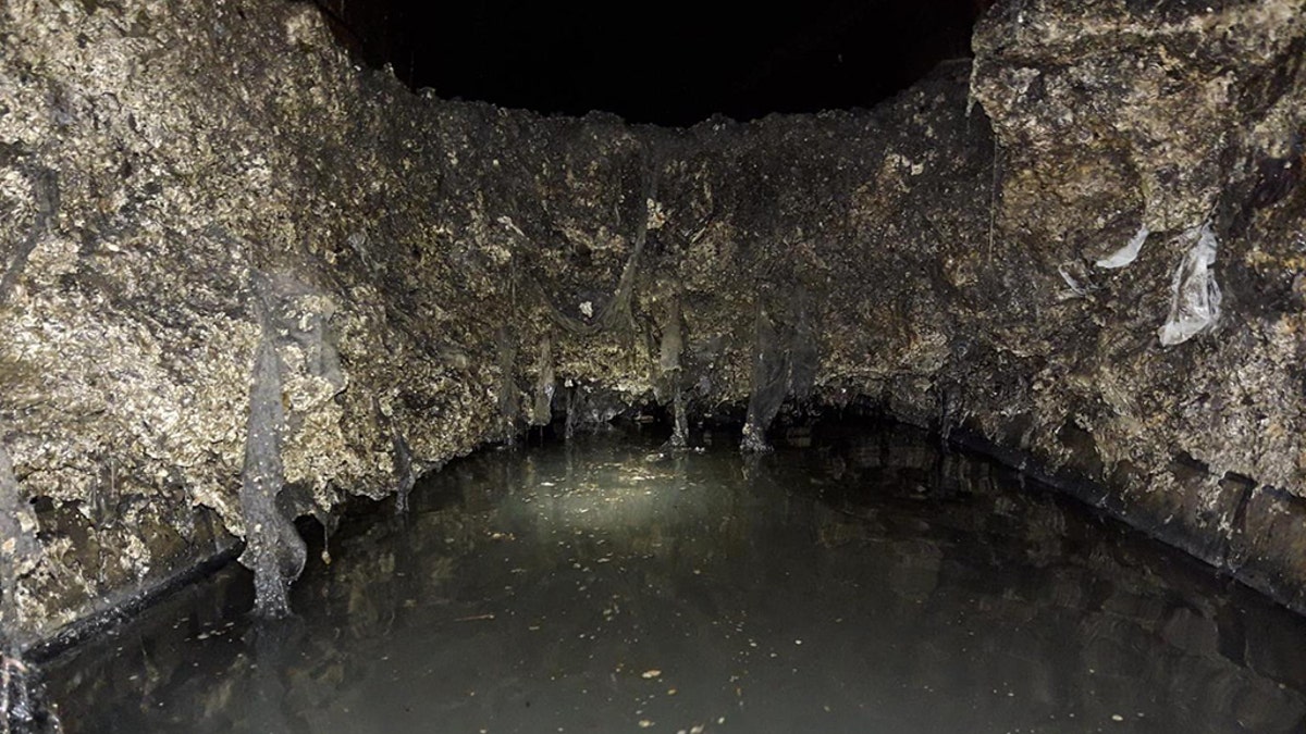 The blob of congealed waste weighed 40 tons, about the same as three of London's famed red buses, Thames Water said.