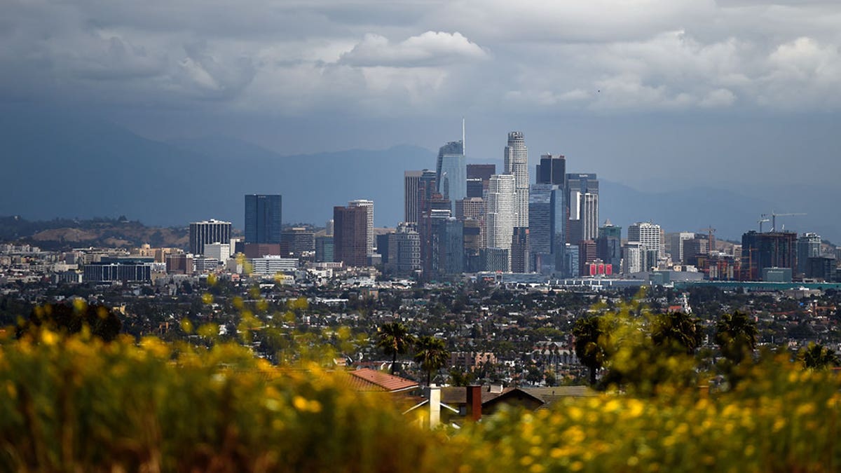 Los Angeles City Council has approved an ordinance that will ban "no-fault" evictions. 
