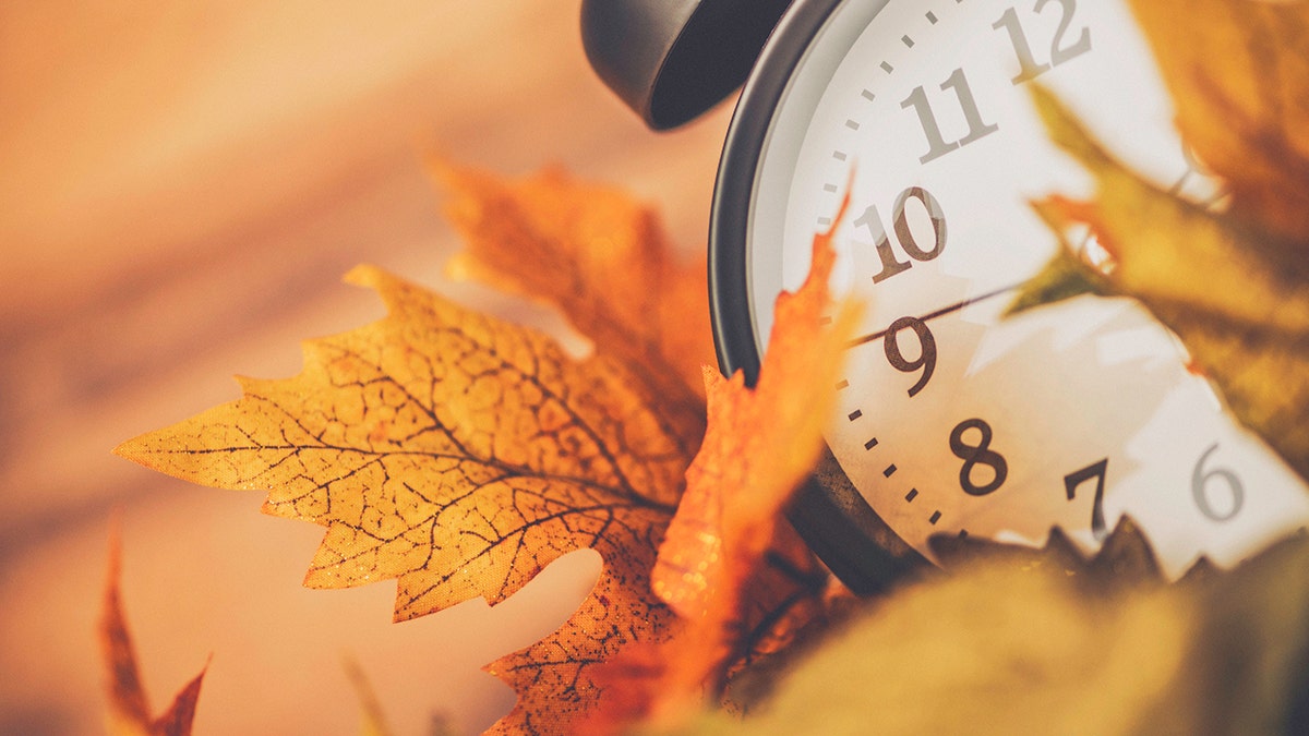 Fall leaves next to analog clock