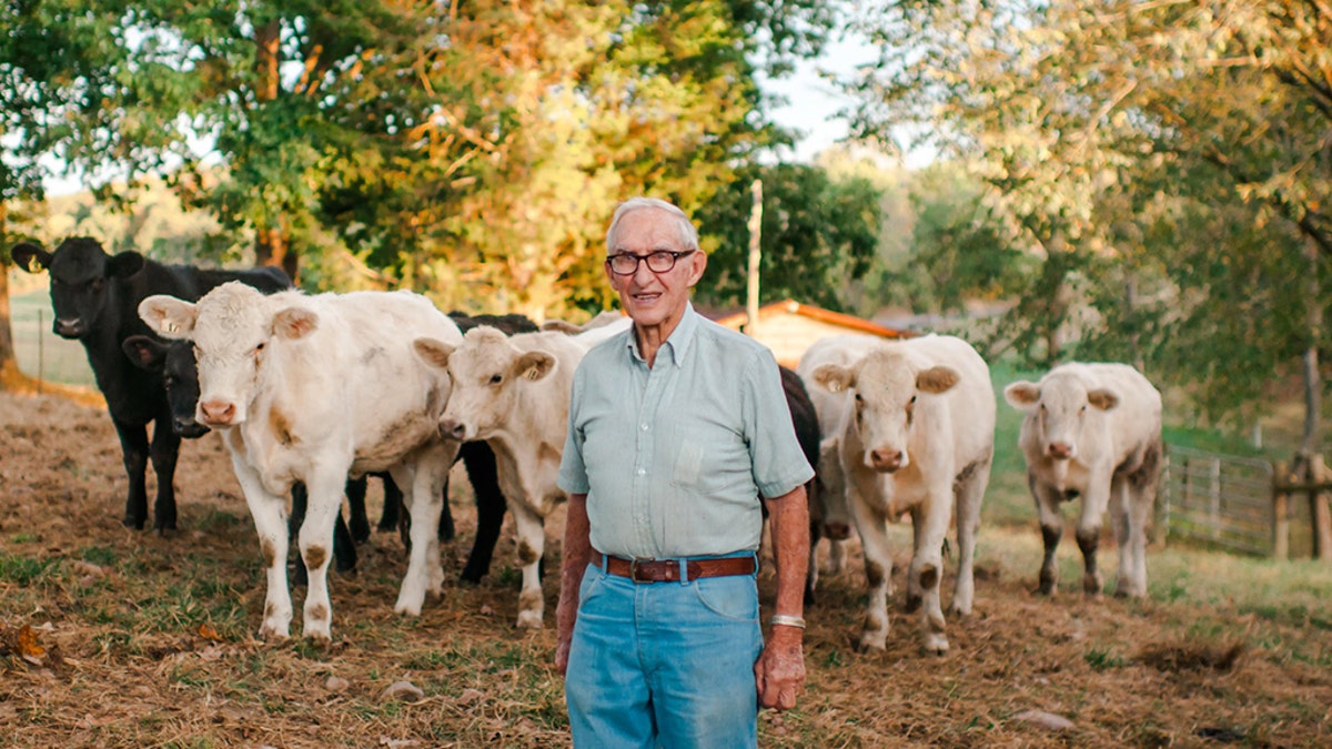 Jack Rice and cows